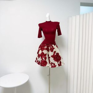 Women's Embroidered Mesh Flared A-Line Skirt Set